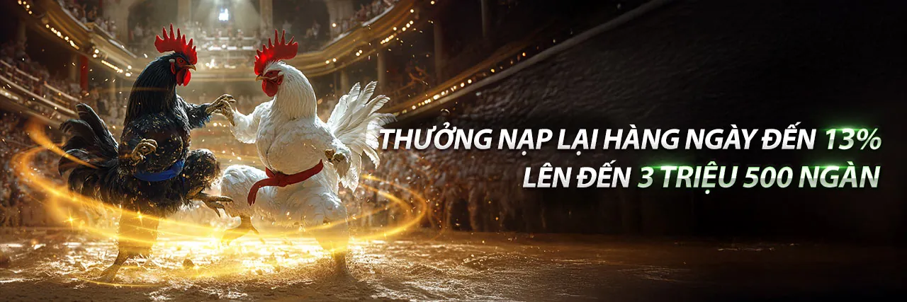 Đá Gà Thabet 2026: Trận đấu gà kịch tính tại sân vận động